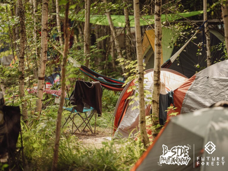 Photo du festival Future Forest 2025