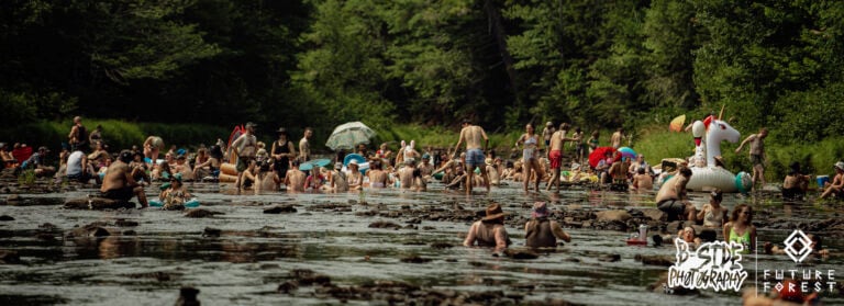 Photo du festival Future Forest 2025