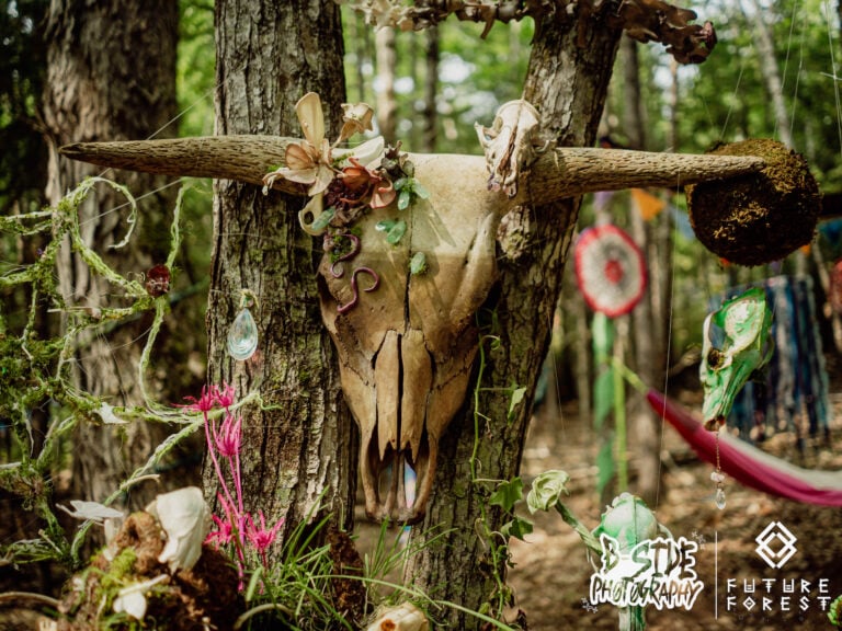 Photo du festival Future Forest 2025