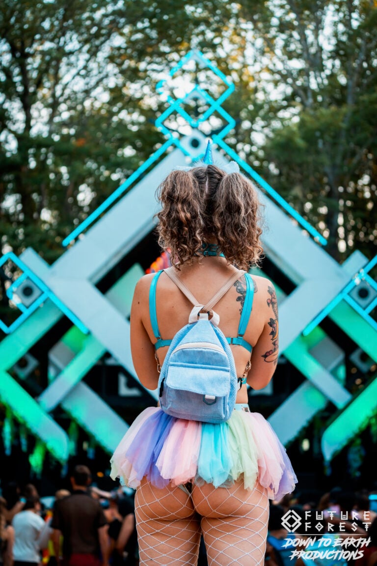 Photo du festival Future Forest 2025
