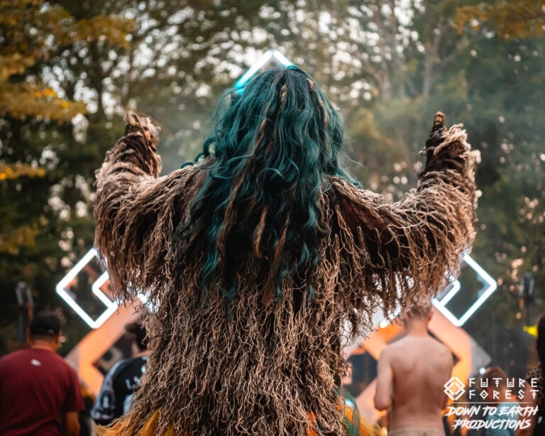 Photo du festival Future Forest 2025