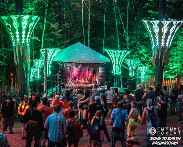 Photo du festival Future Forest 2025