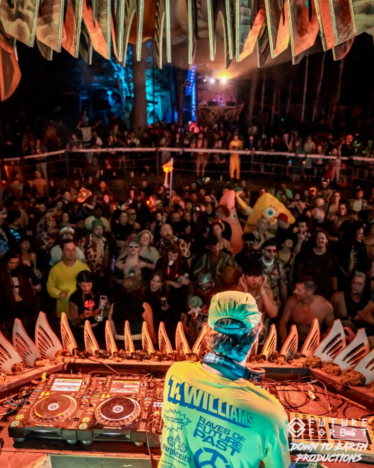 Photo du festival Future Forest 2025