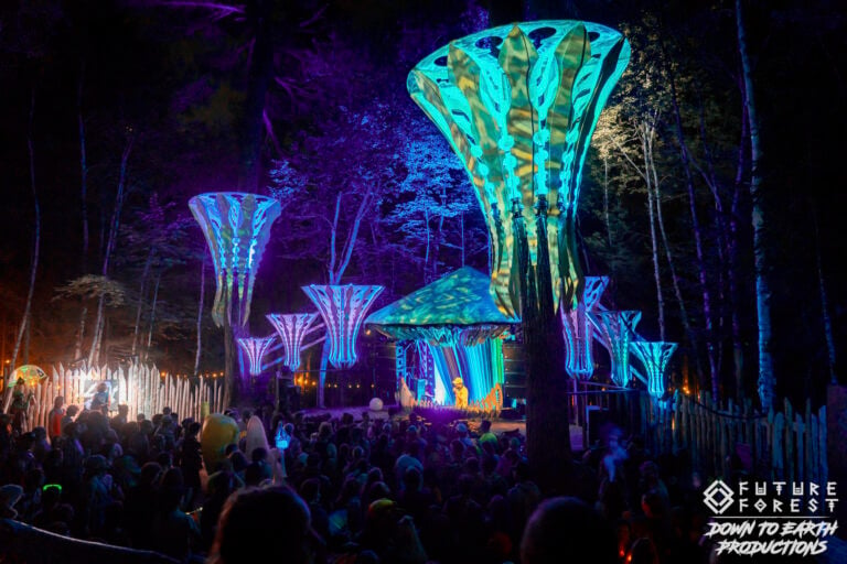 Photo du festival Future Forest 2025