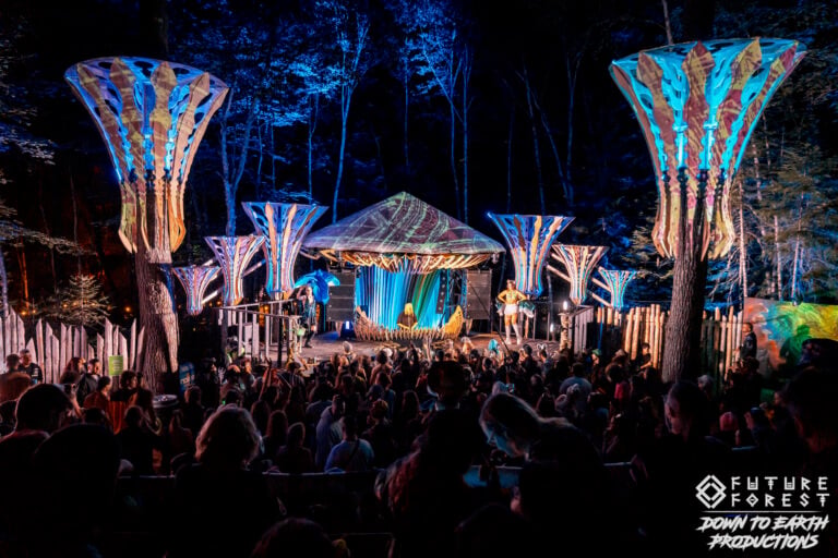 Photo du festival Future Forest 2025