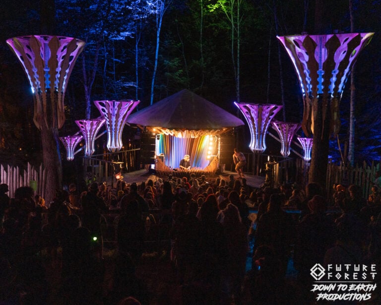 Photo du festival Future Forest 2025