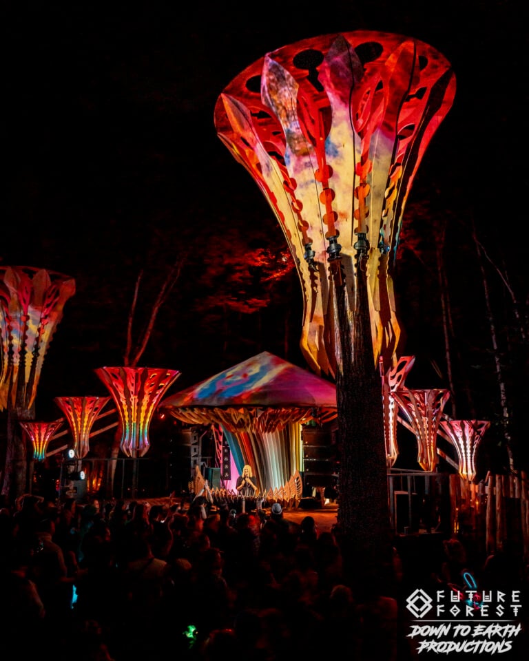 Photo du festival Future Forest 2025