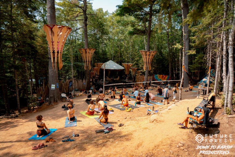 Photo du festival Future Forest 2025