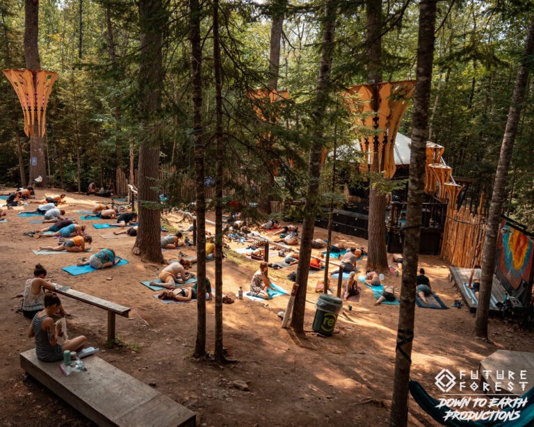 Photo du festival Future Forest 2025