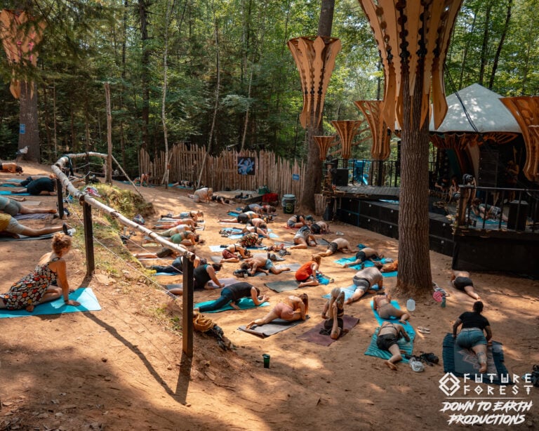 Photo du festival Future Forest 2025