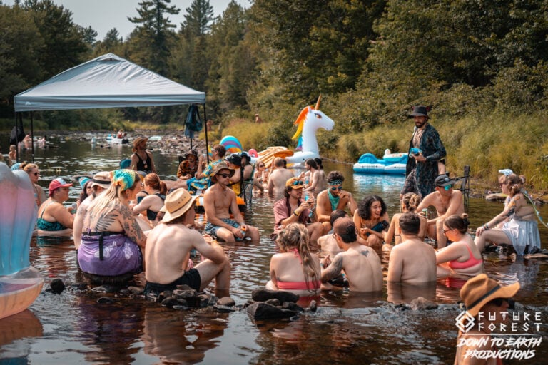 Photo du festival Future Forest 2025