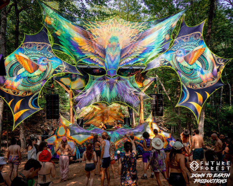 Photo du festival Future Forest 2025