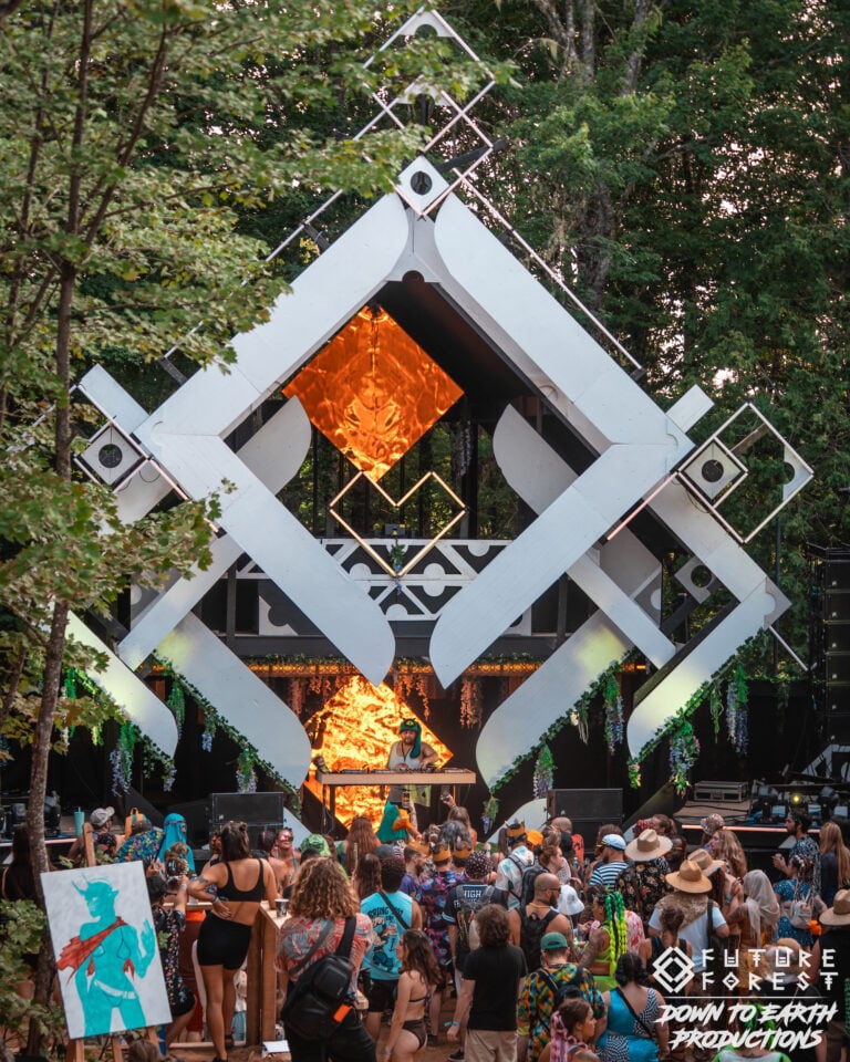 Photo du festival Future Forest 2025