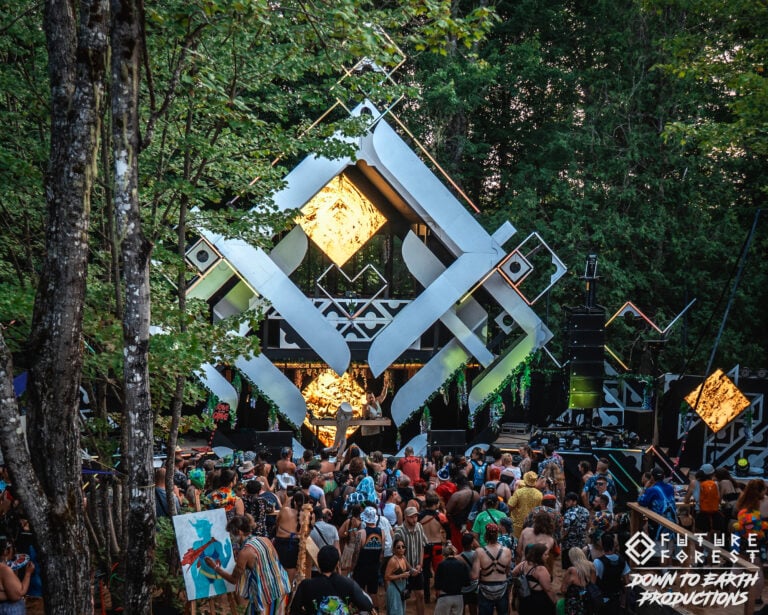 Photo du festival Future Forest 2025