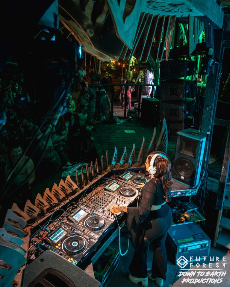 Photo du festival Future Forest 2025
