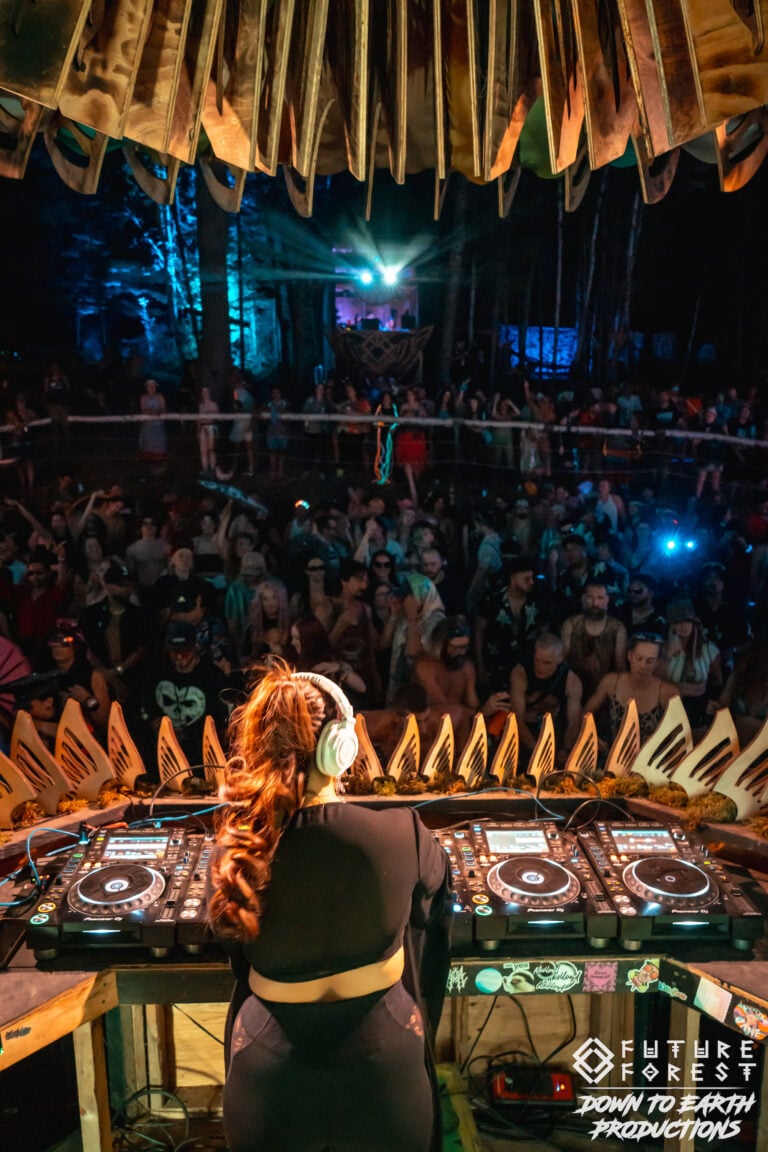 Photo du festival Future Forest 2025