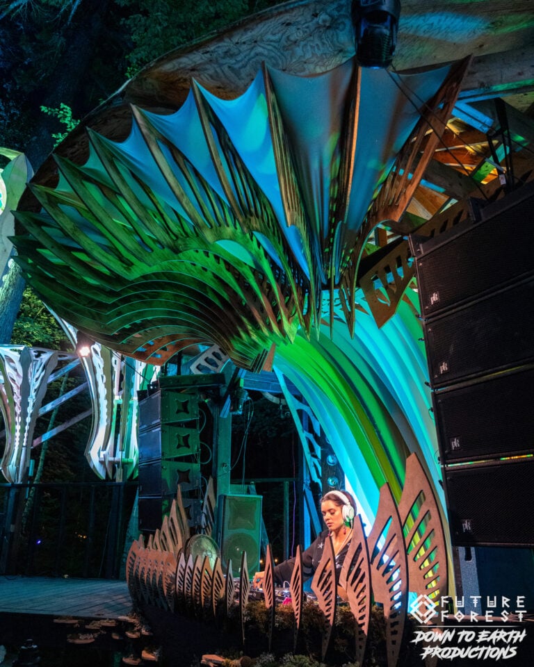 Photo du festival Future Forest 2025