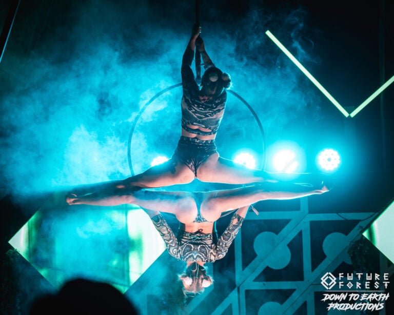 Photo du festival Future Forest 2025