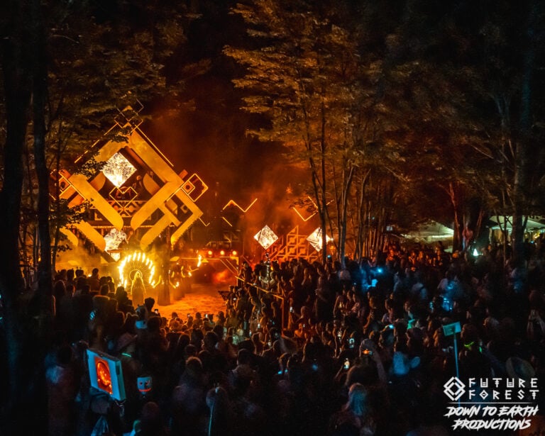 Photo du festival Future Forest 2025