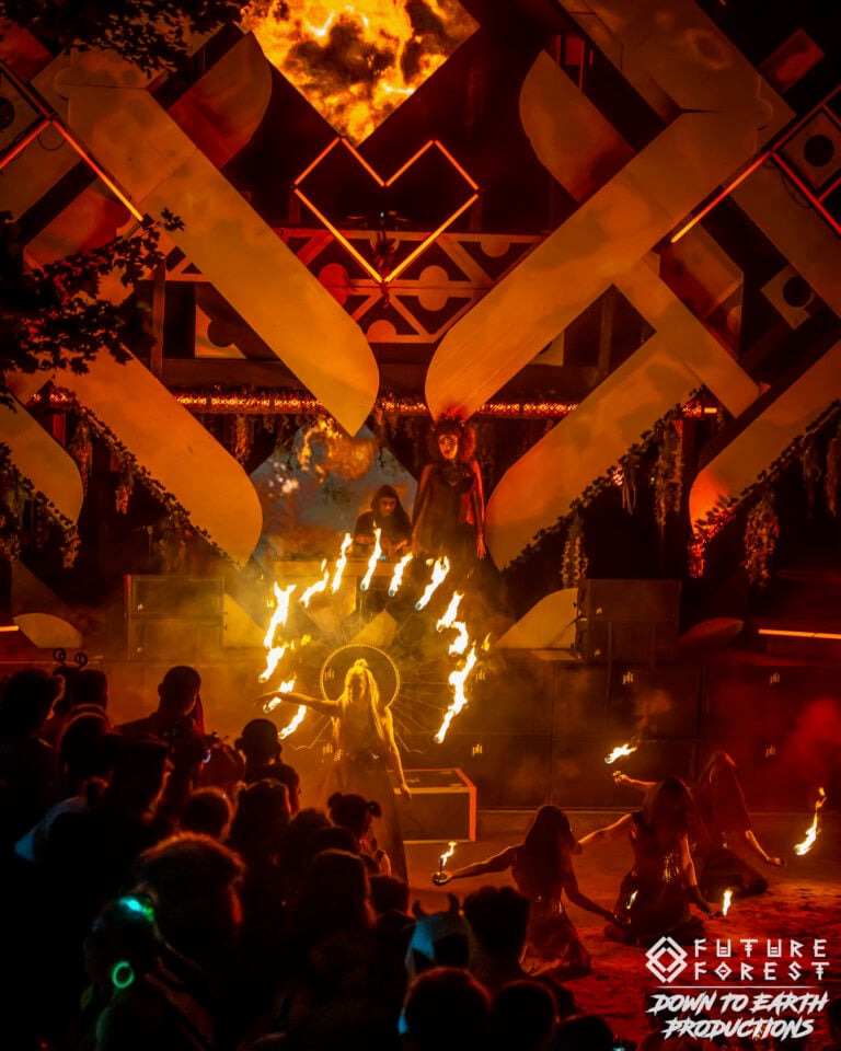 Photo du festival Future Forest 2025