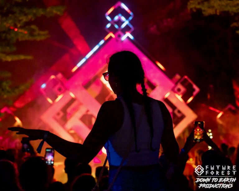 Photo du festival Future Forest 2025