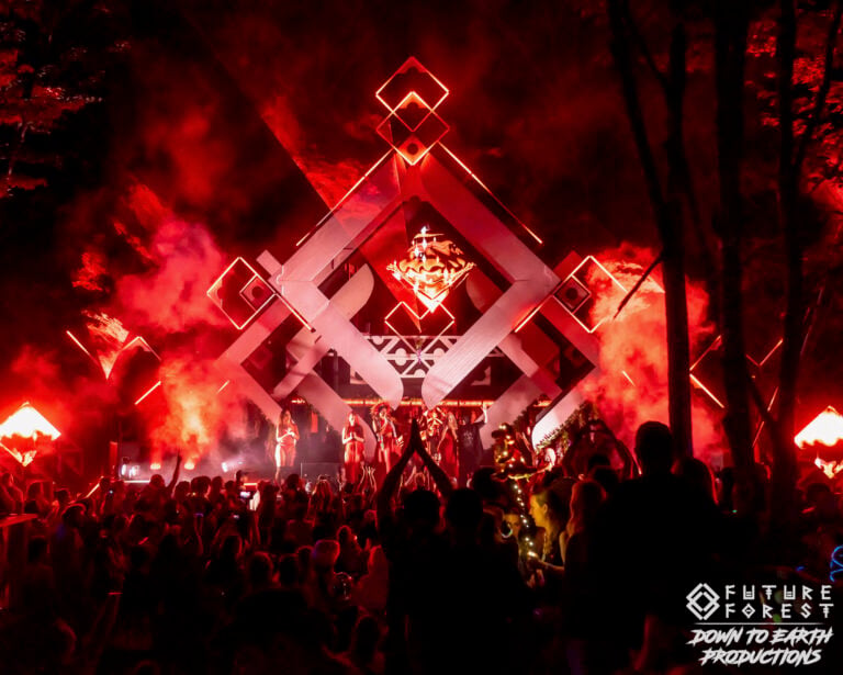 Photo du festival Future Forest 2025