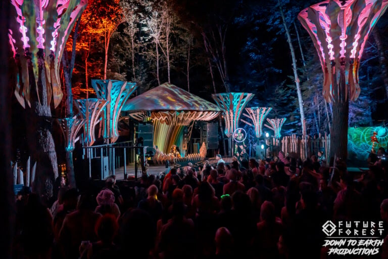 Photo du festival Future Forest 2025