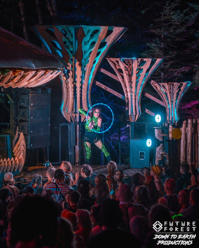 Photo du festival Future Forest 2025