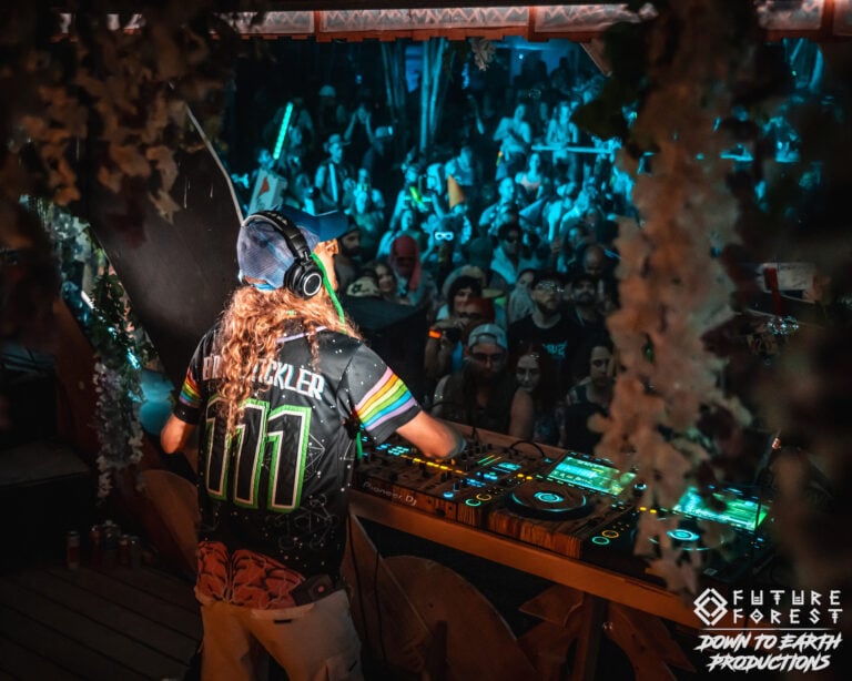 Photo du festival Future Forest 2025