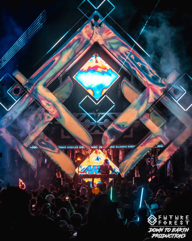 Photo du festival Future Forest 2025