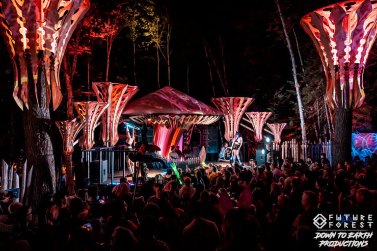 Photo du festival Future Forest 2025