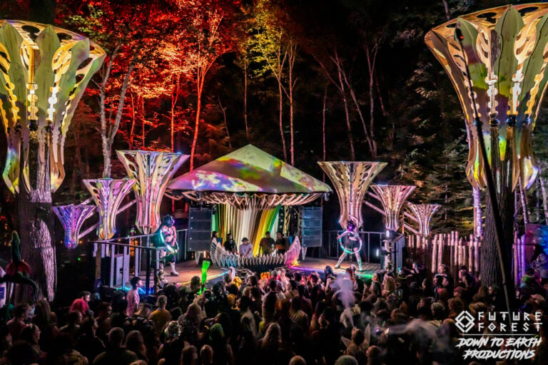 Photo du festival Future Forest 2025