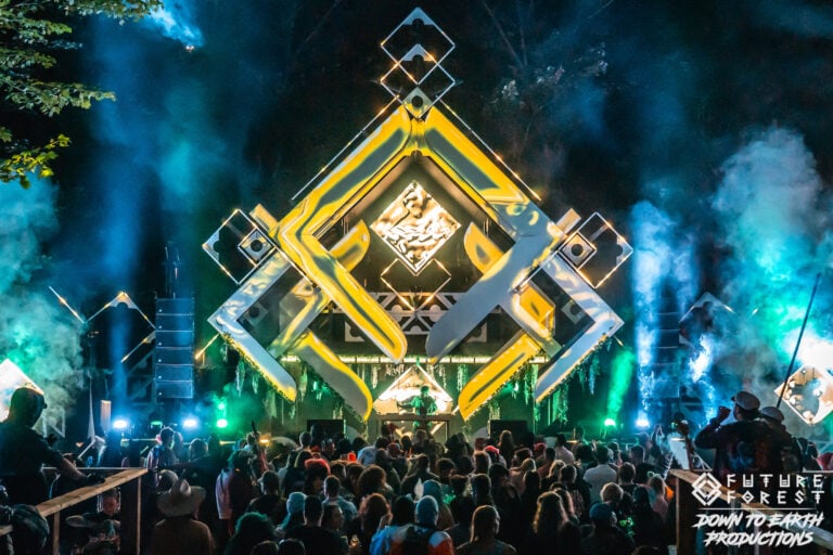Photo du festival Future Forest 2025