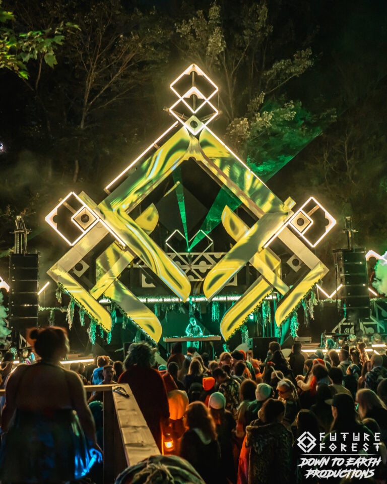 Photo du festival Future Forest 2025