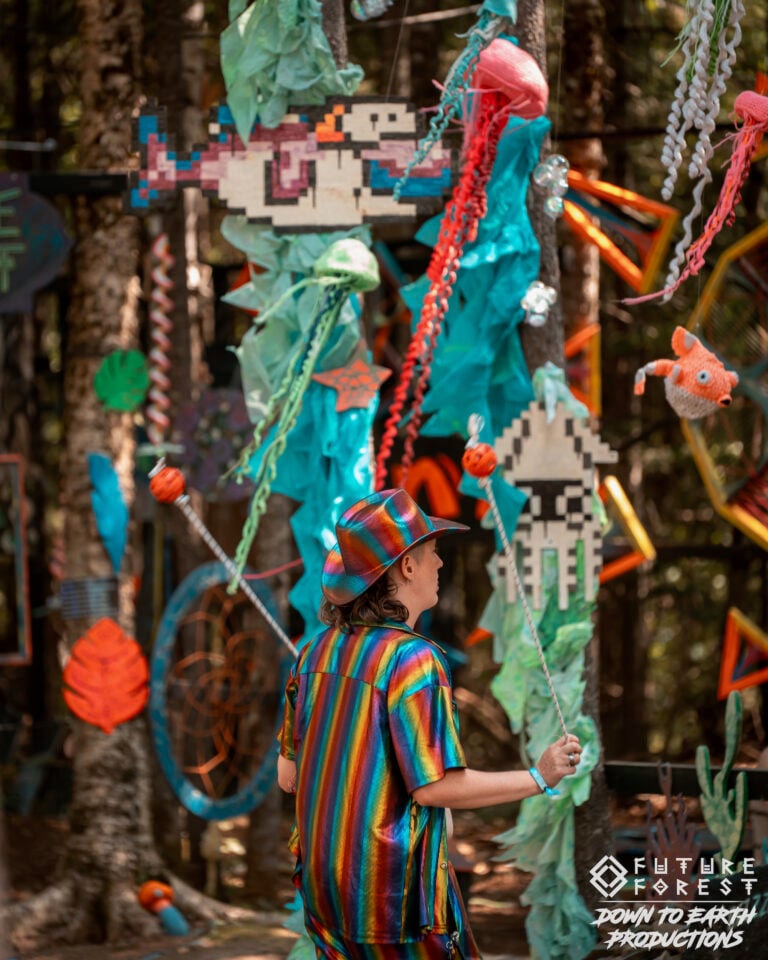Photo du festival Future Forest 2025