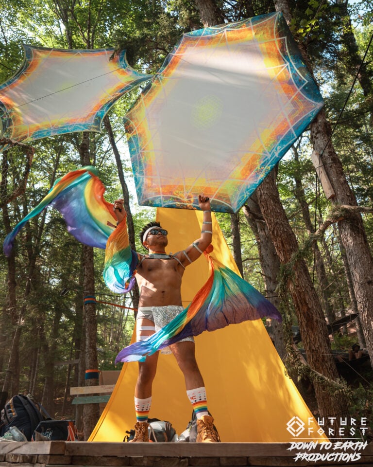 Photo du festival Future Forest 2025