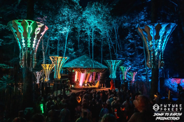 Photo du festival Future Forest 2025