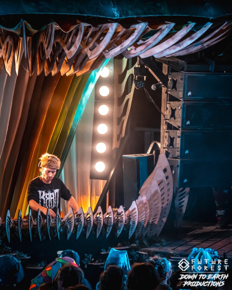 Photo du festival Future Forest 2025