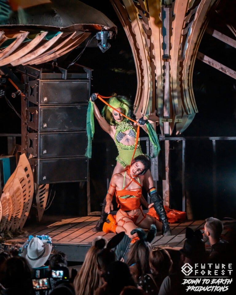 Photo du festival Future Forest 2025