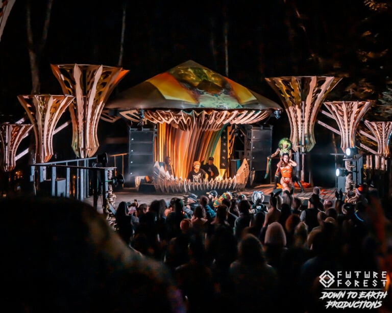 Photo du festival Future Forest 2025