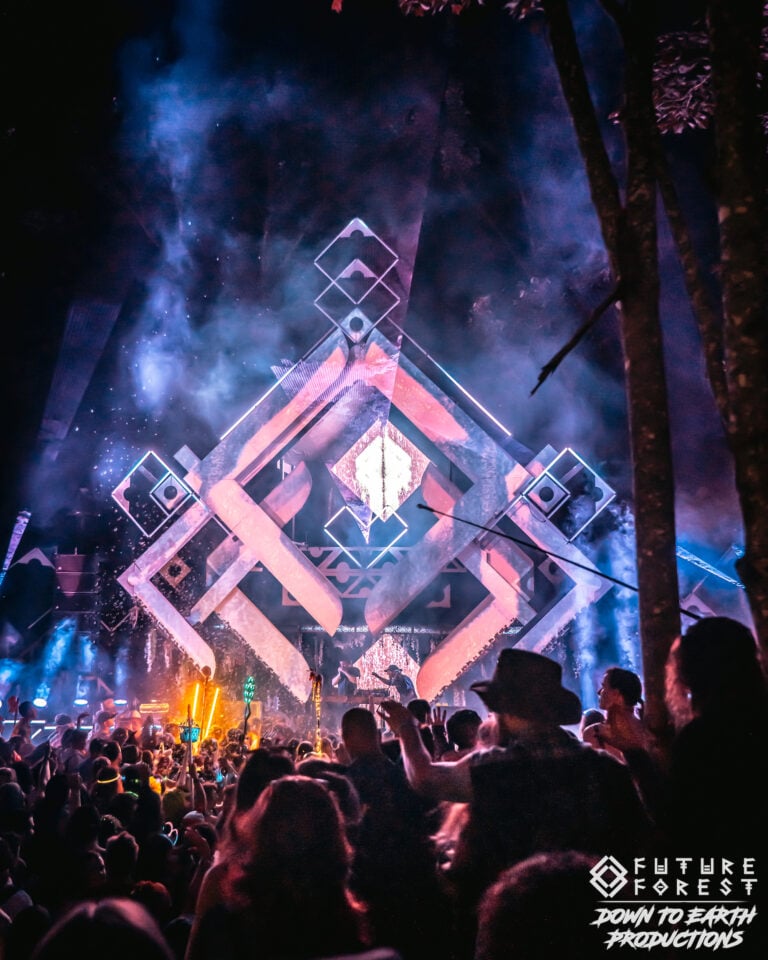 Photo du festival Future Forest 2025