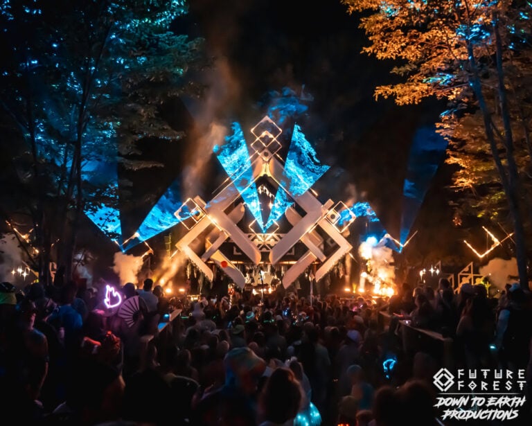 Photo du festival Future Forest 2025