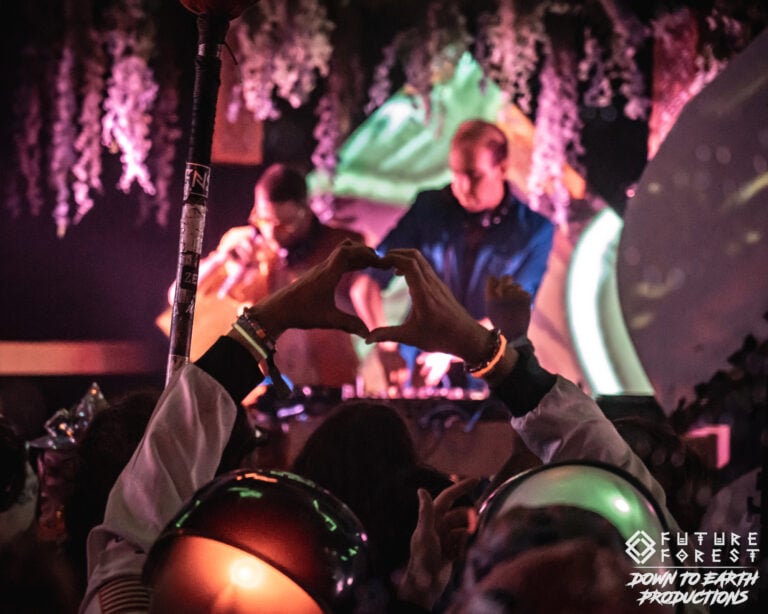 Photo du festival Future Forest 2025