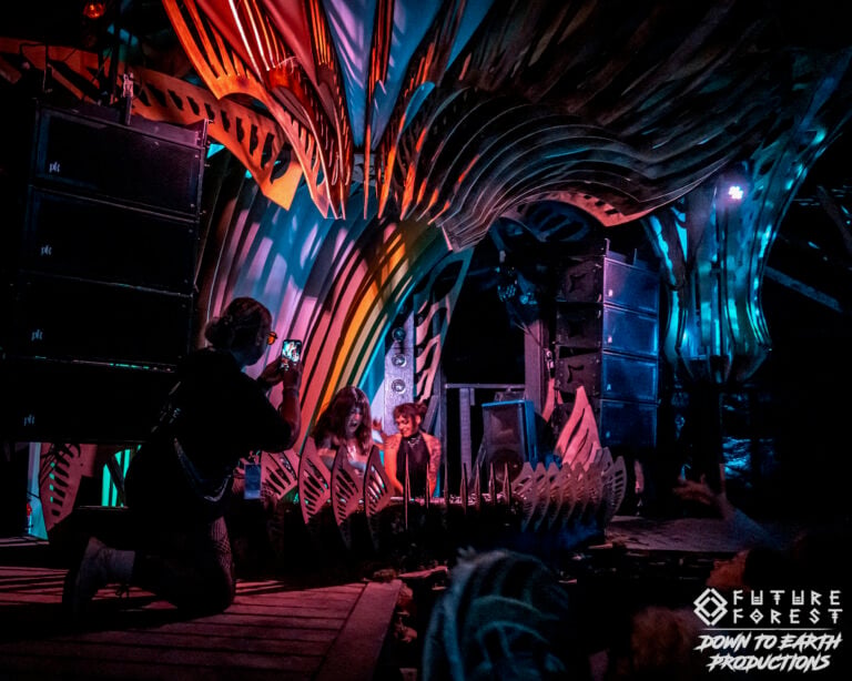 Photo du festival Future Forest 2025