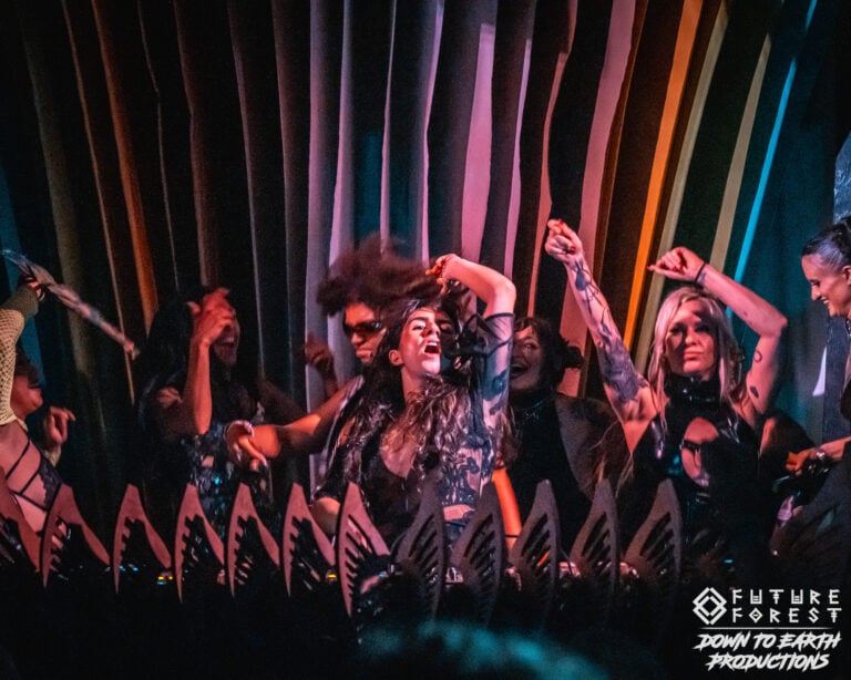 Photo du festival Future Forest 2025