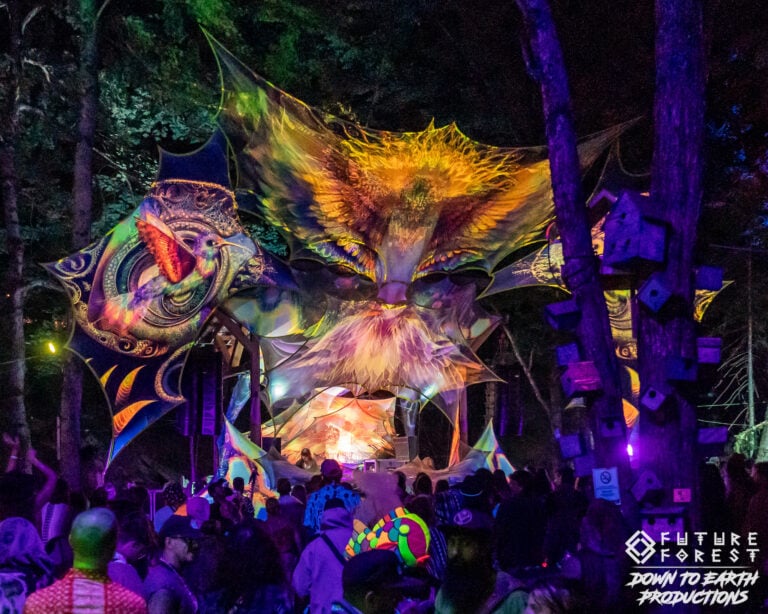 Photo du festival Future Forest 2025