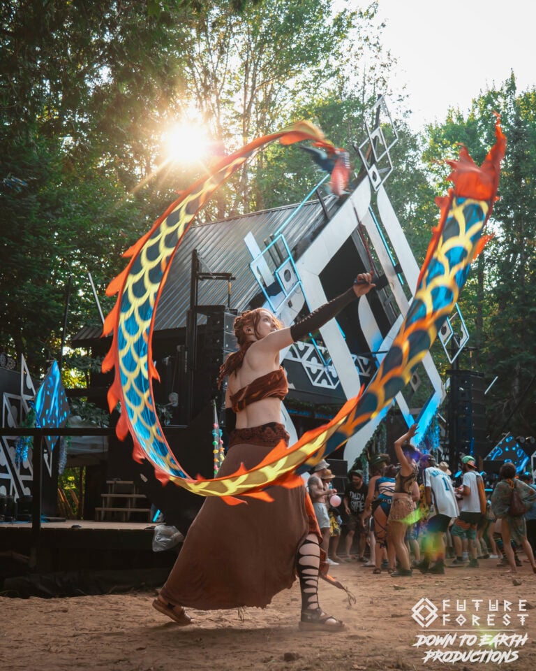 Photo du festival Future Forest 2025
