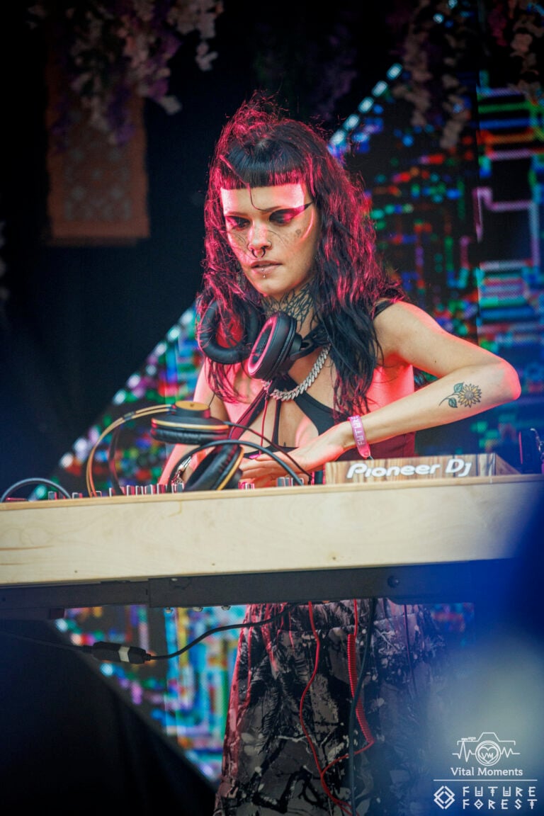 Photo du festival Future Forest 2025