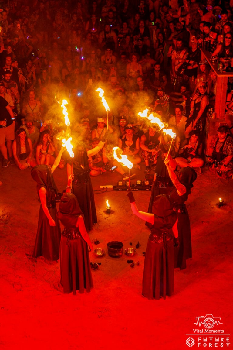 Photo du festival Future Forest 2025