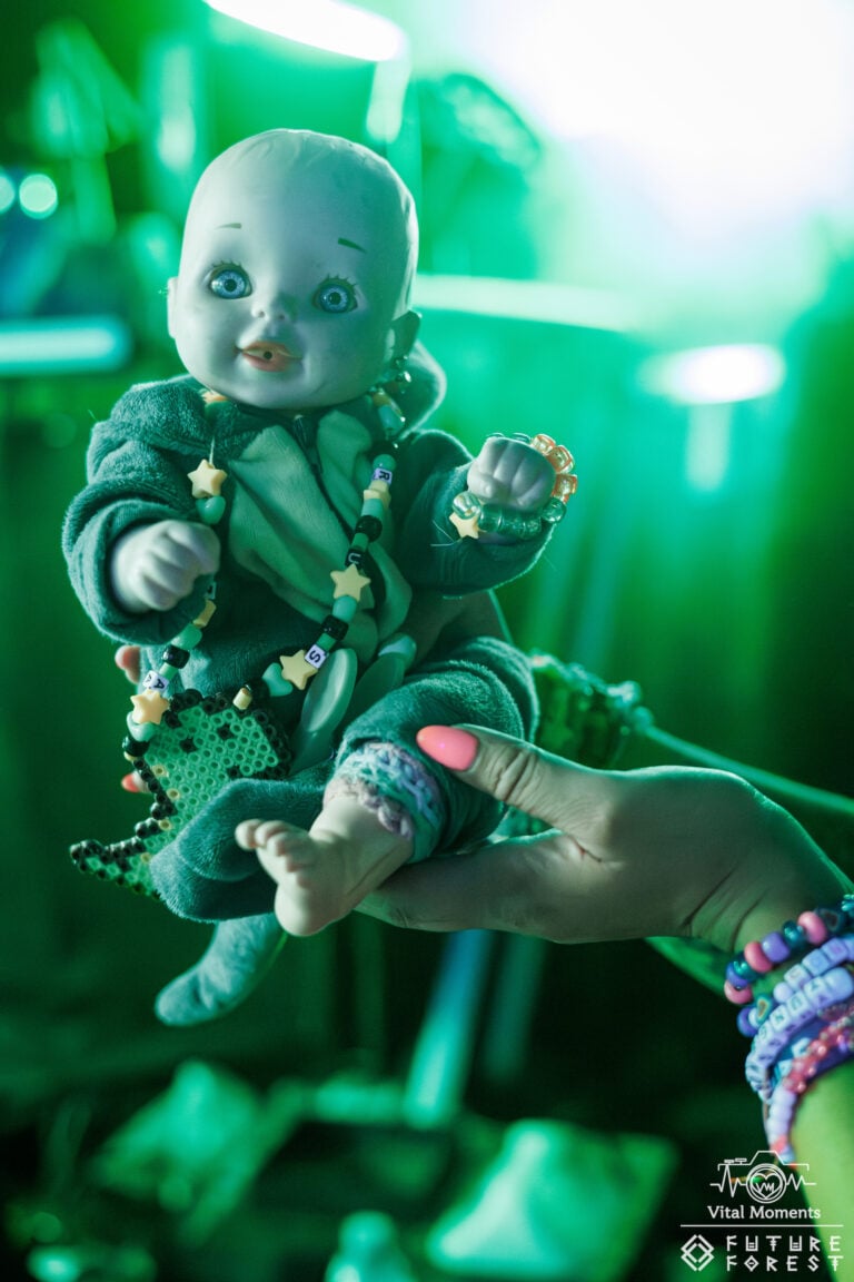Photo du festival Future Forest 2025